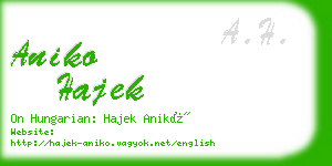 aniko hajek business card